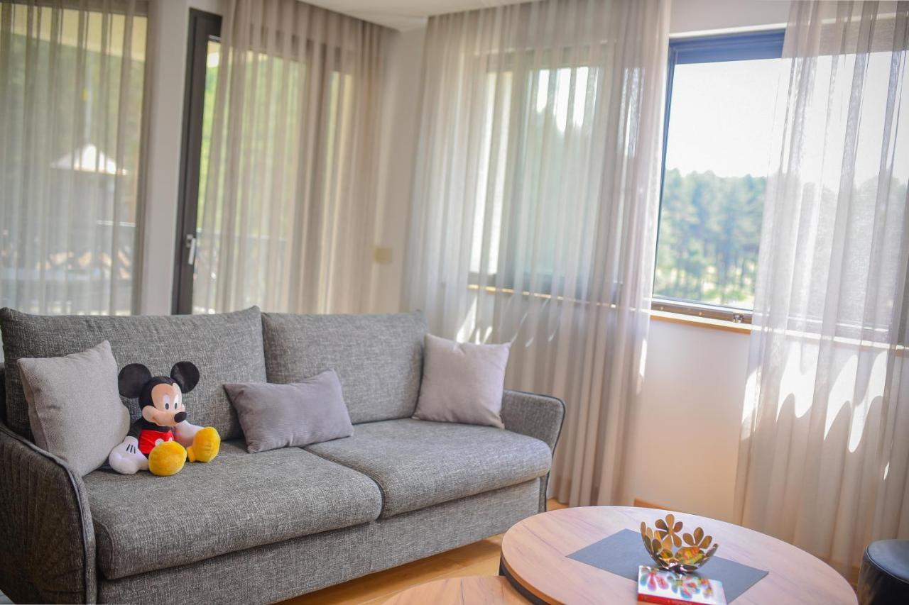 Vila Masa Zlatibor Zewnętrze zdjęcie